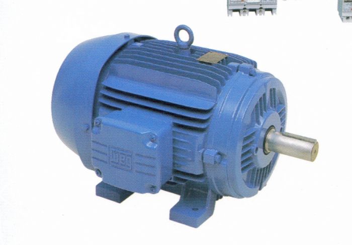 Motores Electricos